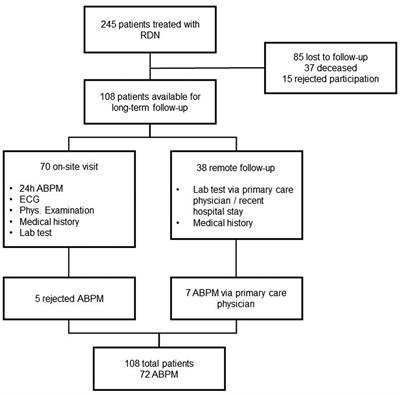 Safety and efficacy of renal sympathetic denervation: a 9-year long-term follow-up of 24-hour ambulatory blood pressure measurements